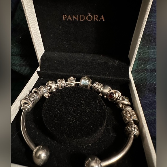 Pandora Jewelry - 14 Authentic Pandora Charms (charms only)
